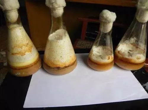 發(fā)酵消泡劑應用場(chǎng)景圖