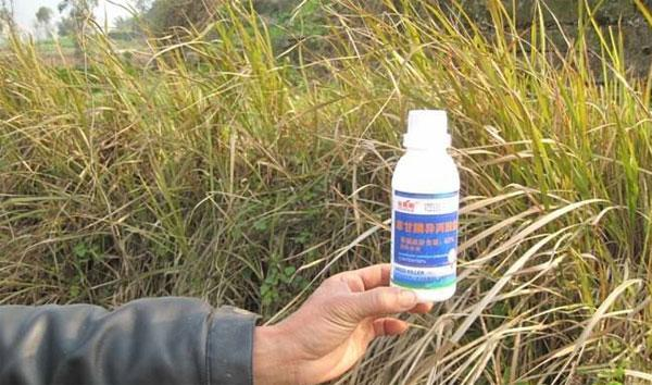 草甘膦消泡劑應用場(chǎng)景圖