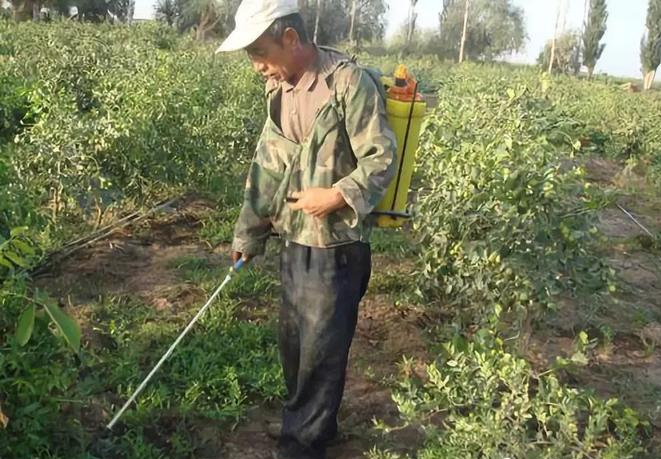 除草劑消泡劑應用場(chǎng)景圖