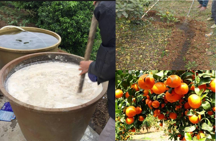 化肥消泡劑應用場(chǎng)景圖