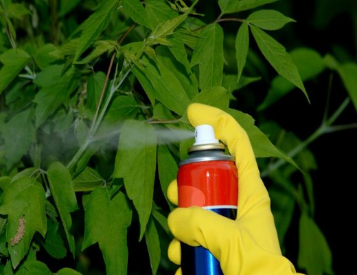 殺蟲(chóng)劑消泡劑應用場(chǎng)景圖