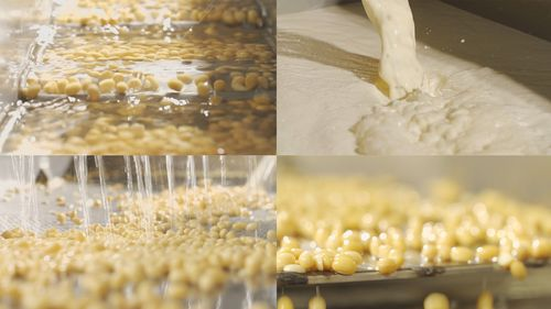 豆制品消泡劑應用場(chǎng)景圖