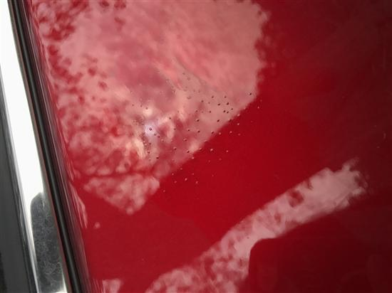 面漆消泡劑應用場(chǎng)景圖