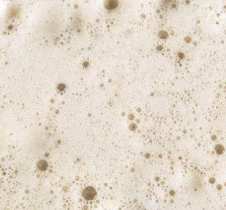 發(fā)酵消泡劑應用場(chǎng)景圖